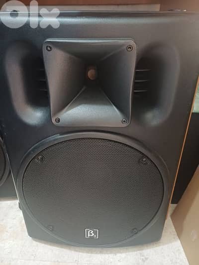 2 speaker 15" beta 3 original used like new