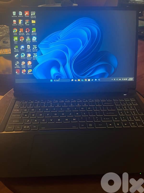 System76 Gazelle 17 – 32GB RAM, 1TB SSD 1
