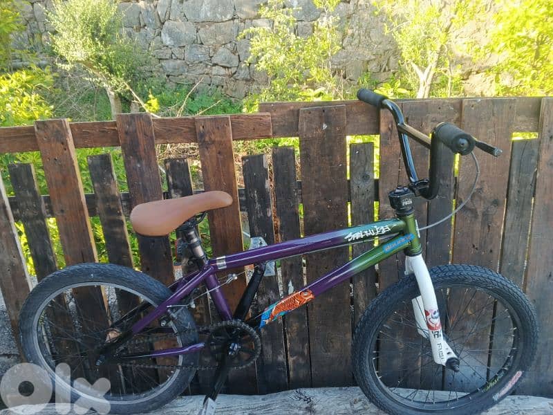 bmx specialized 1