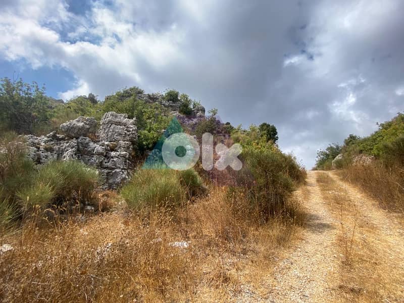 Prime Land+mountain view 4sale in Faytroun - أرض للبيع في فيطرون 1