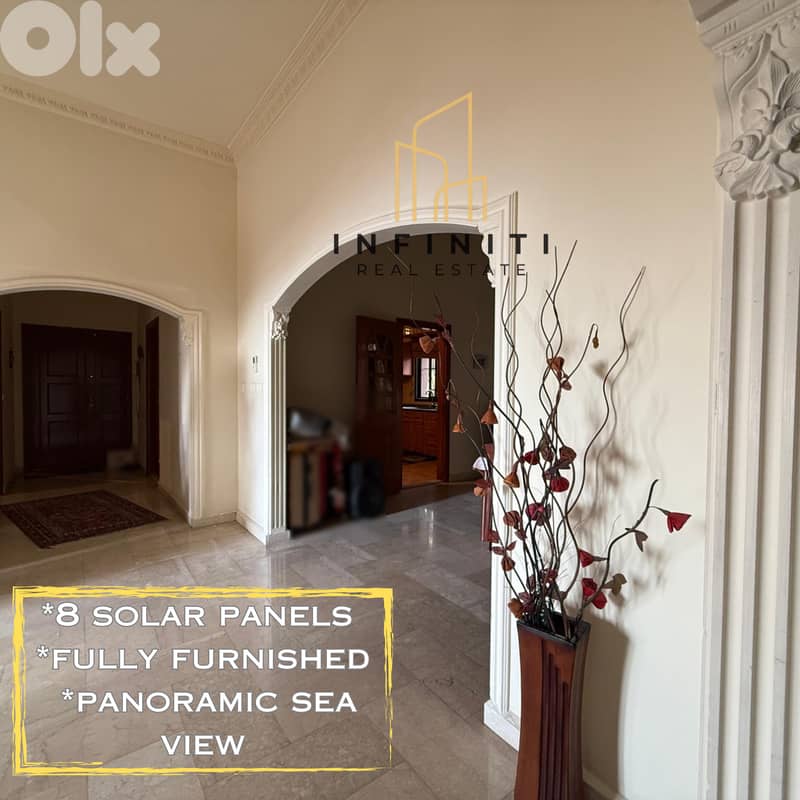 Apartment Fully Furnished for Rent in Aley شقة مميزة للإيجار في عاليه 0