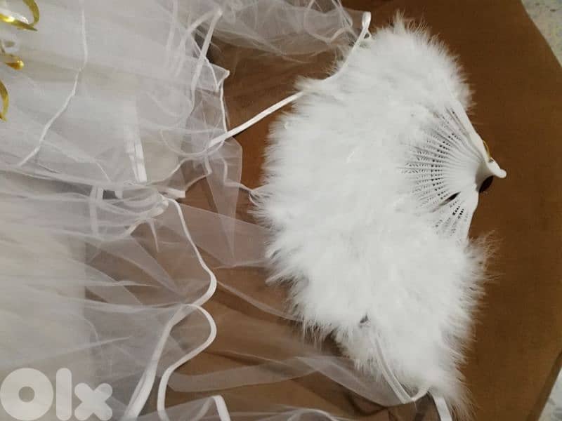 bride to be dress, robe, and accessories 2
