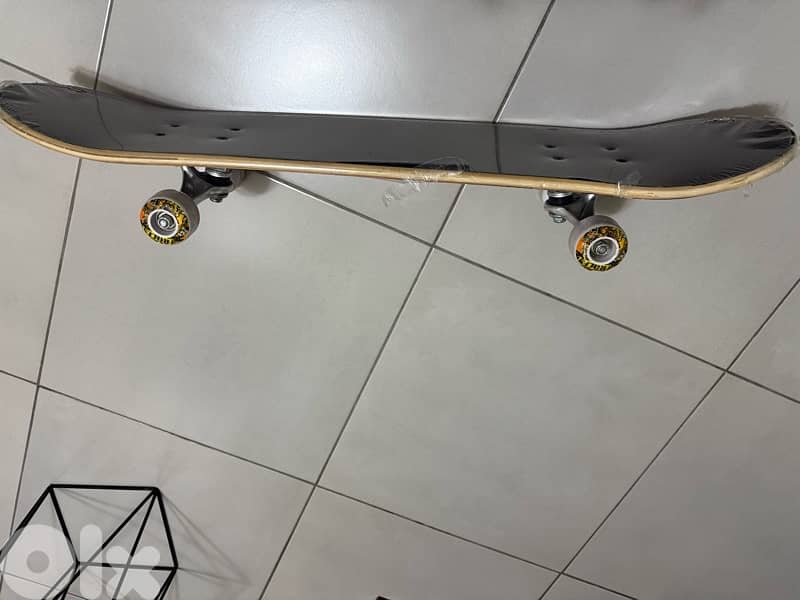 skate board 4