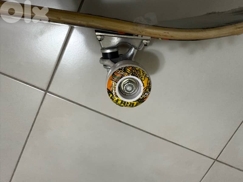 skate board 5