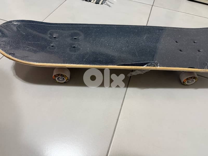 skate board 6