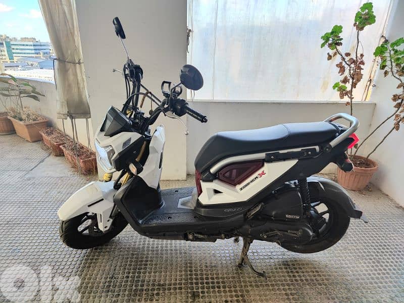 Honda Zoomer-X 3