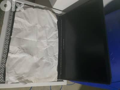 Acer Predator Triton 300