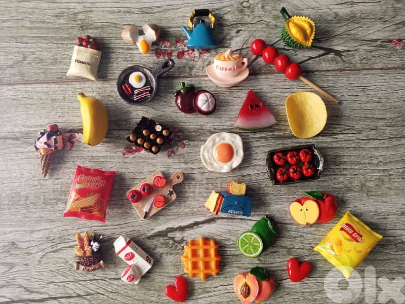 beautiful fridge magnets 1