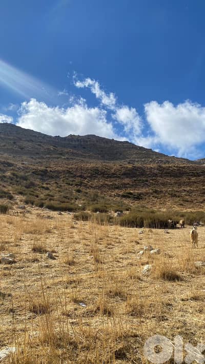 Land for sale in Laklouk - أرض للبيع في اللقلوق