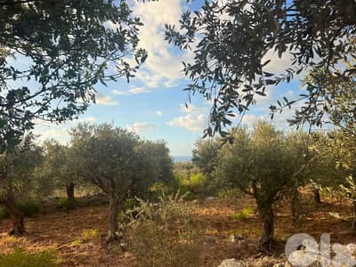 Land for sale in Monsef - أرض للبيع في المنصف