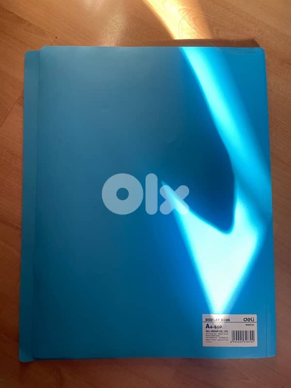 Blue Binder/File 0