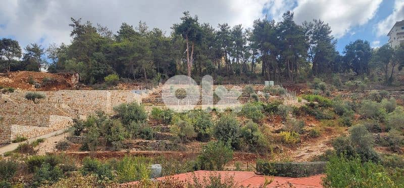 Land for sale in Bourjein - Chouf - أرض للبيع في منطقة البرجين - الشوف 1