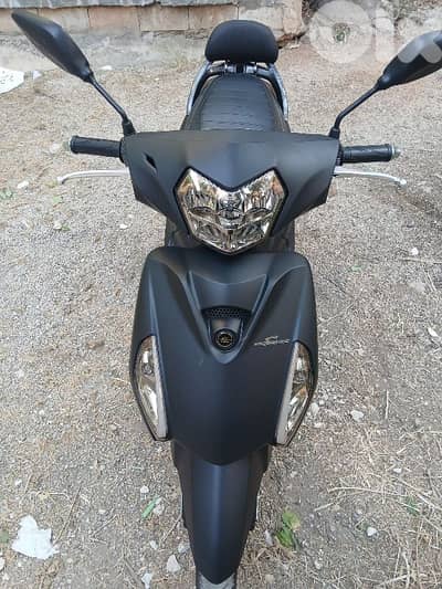 Sweet Azzo 2025 for Sale  - سويت عزو ٢٠٢٥ للبيع