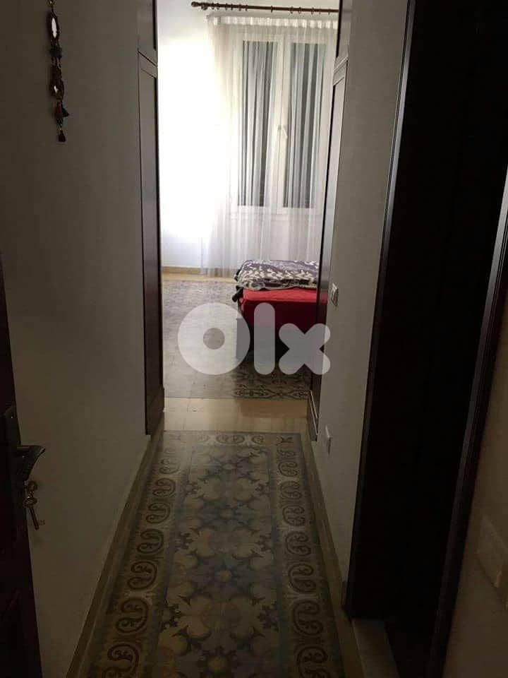 furnished classical vintage 1 bedr apartment 0