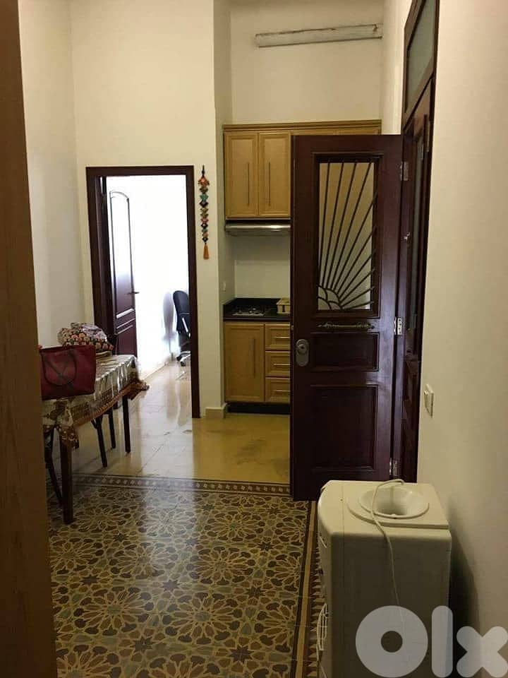 furnished classical vintage 1 bedr apartment 3