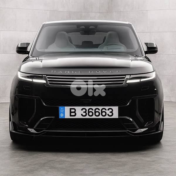 B 36663  call 81/006100 0