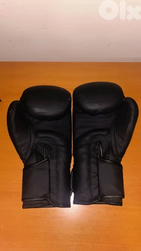 boxing gloves 1
