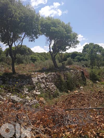 Land for sale in Batroun - أرض للبيع في البترون