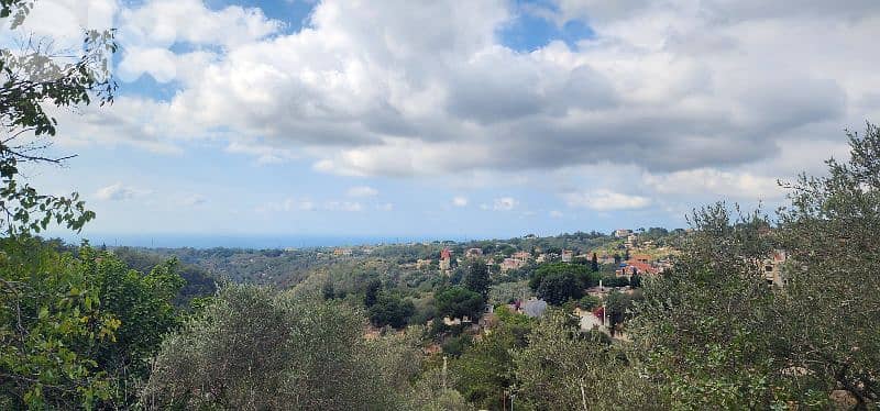 Land for sale in Dibbiyeh - Chouf - أرض للبيع في منطقة دبية الشوف 0