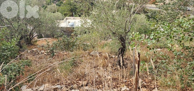 Land for sale in Dibbiyeh - Chouf - أرض للبيع في منطقة دبية الشوف 1