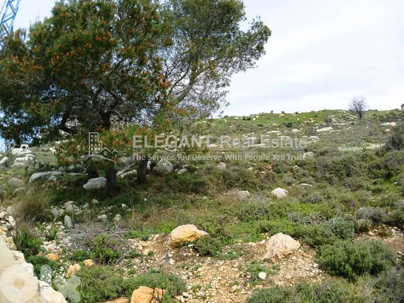 Beautiful Land | Panoramic View | Green Neighborhood 0