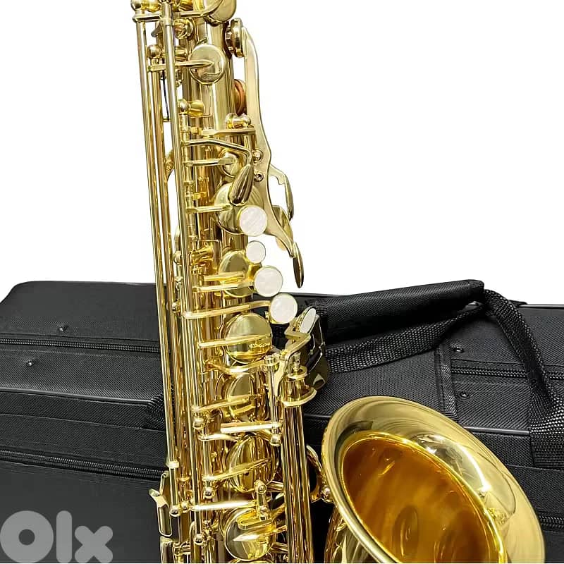 Aiersi AS-201 Alto Saxophone 3