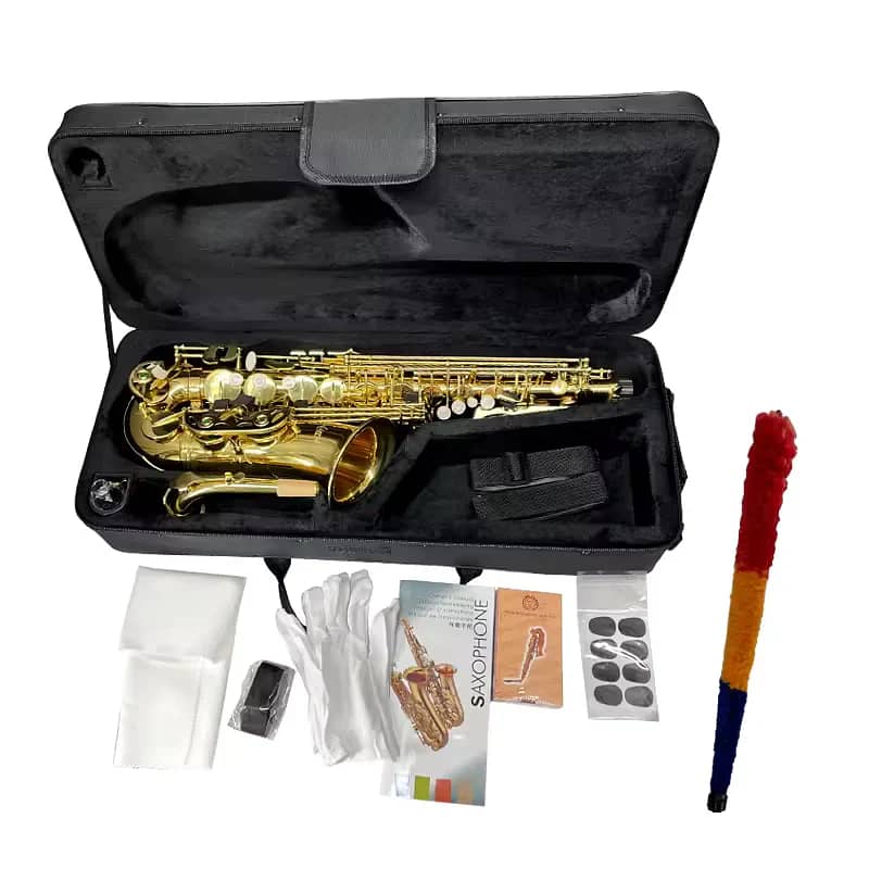Aiersi AS-201 Alto Saxophone 2