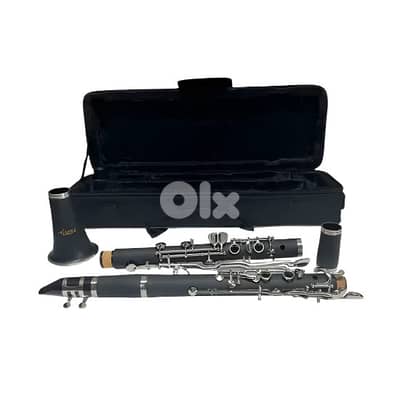 Aiersi Bb Key Clarinet