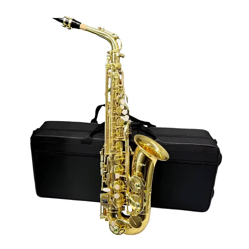 Aiersi AS-201 Alto Saxophone 0