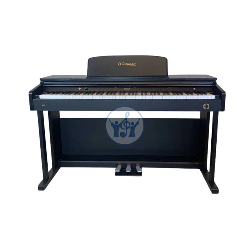 Calypso DP71 Electric Piano 0