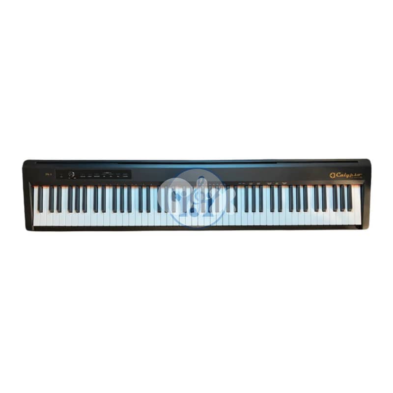 Calypso PK1 Digital Piano 0