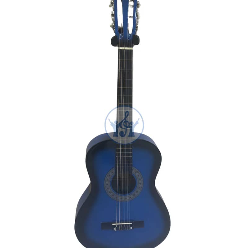 Aileen Guitar 1
