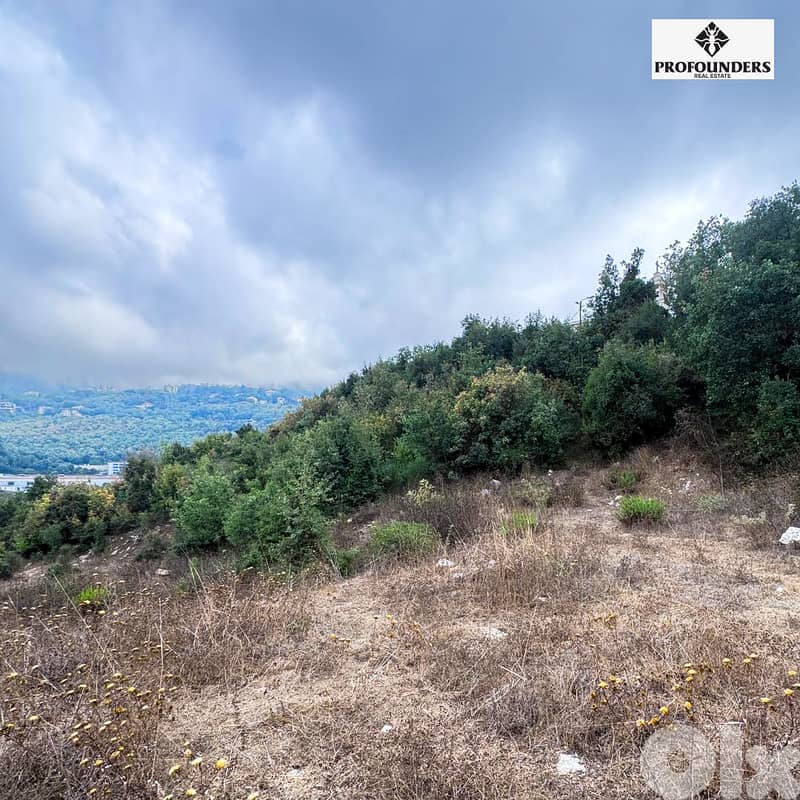 Land for sale in Bikfaya ارض للبيع في بكفيا 2