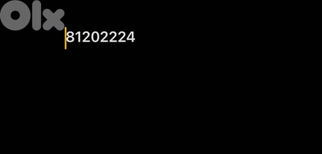 81202224