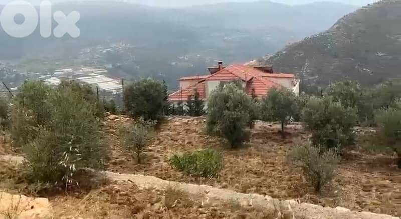 Land for Sale 0