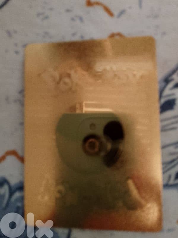 zygarde pokemon golden card. 1