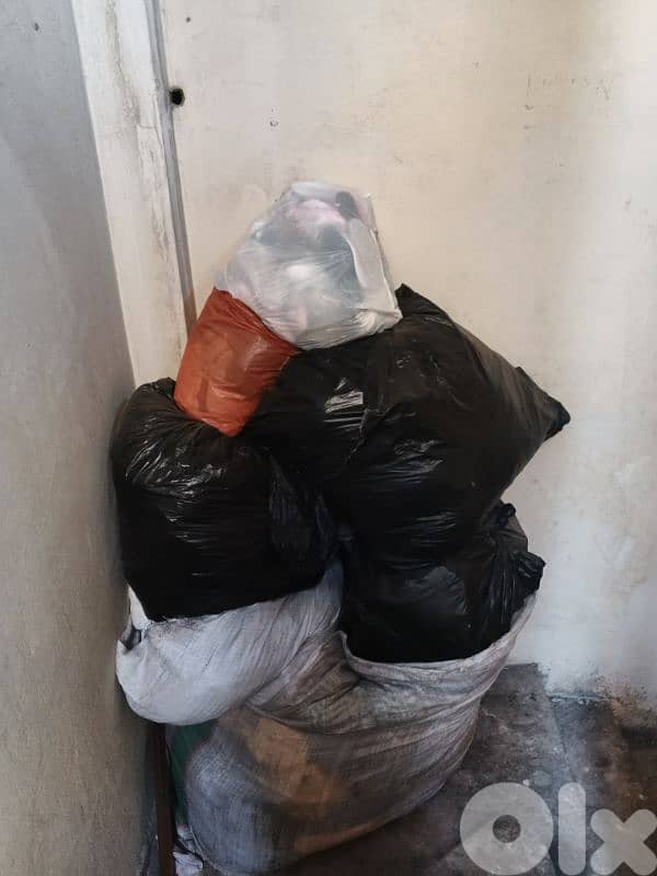 عين الرماني 1