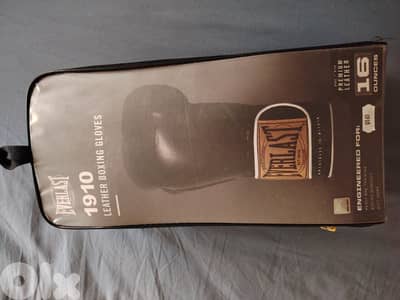 Everlast Boxing Gloves (original)