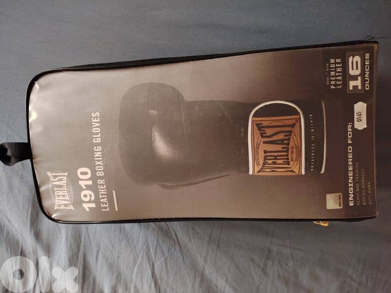 Everlast Boxing Gloves (original) 0