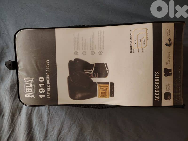 Everlast Boxing Gloves (original) 1