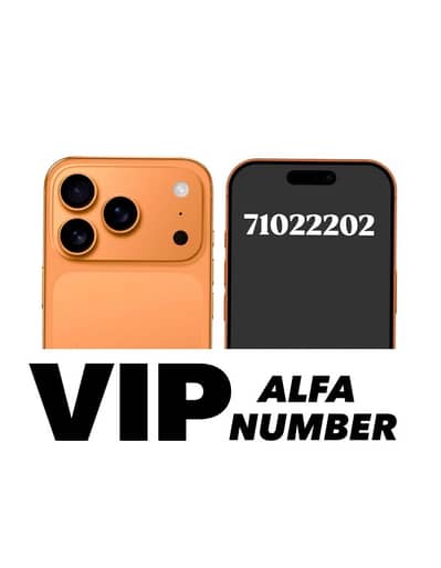 Special number ALFA - 71 022202 مهذب