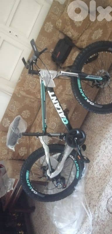 bikes new 12