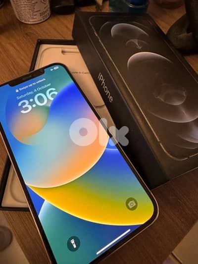 iPhone 12 pro max