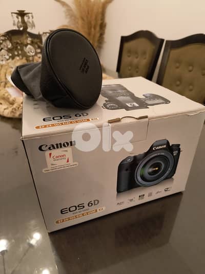 Canon 6D Mark I (24-105mm f/4 L IS USM lens)