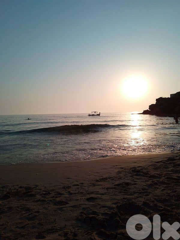 Chalet near beach daily rent starting 40$ for information 81/32 64 31 2