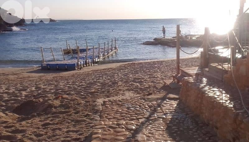 Chalet near beach daily rent starting 40$ for information 81/32 64 31 4