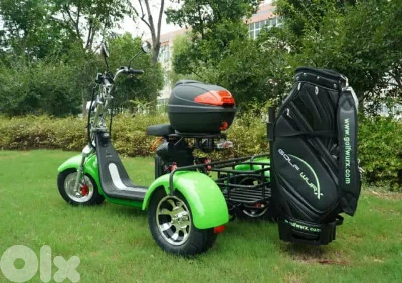 3Plus 3000w/60v Fat Tire Lithium 0