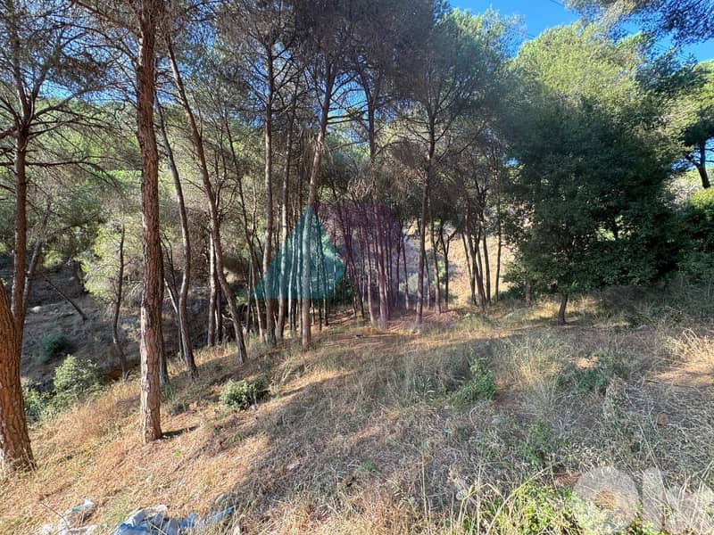 Prime Land+mountain view 4sale in Mansourieh - أرض للبيع في المنصورية 1