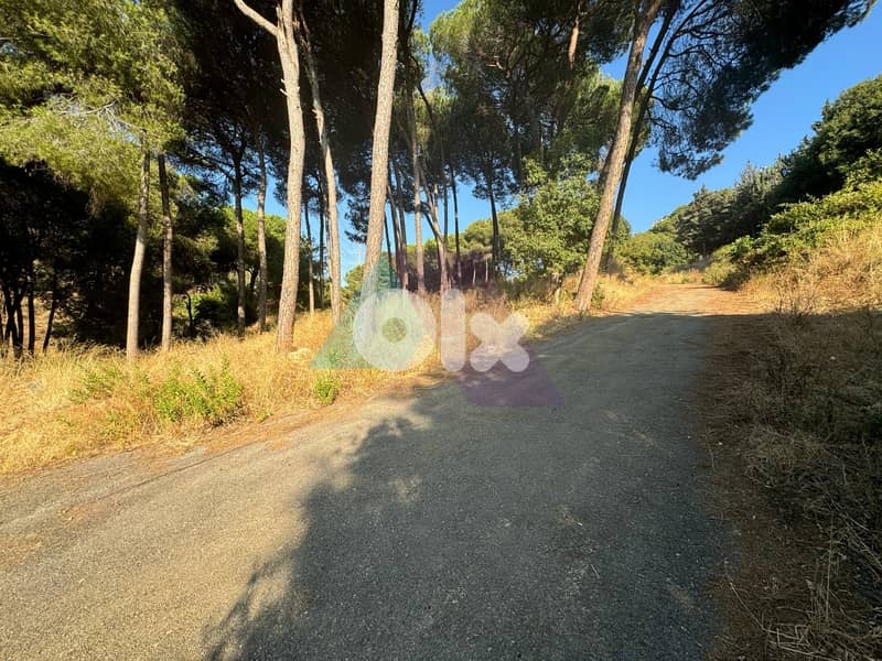 Prime Land+mountain view 4sale in Mansourieh - أرض للبيع في المنصورية 2