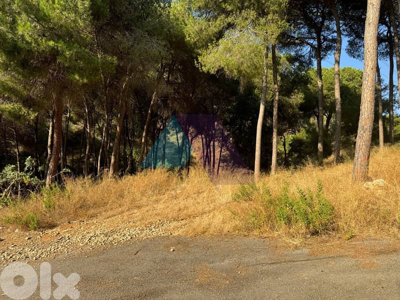Prime Land+mountain view 4sale in Mansourieh - أرض للبيع في المنصورية 3